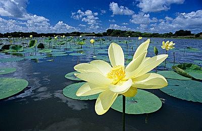 《最终幻想14》资料片“黄金的遗产”7月2日上线