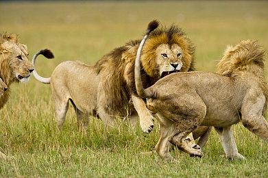 《赛博朋克2077》好兄弟杰克戏份太少 开发者：是为了加快故事进展